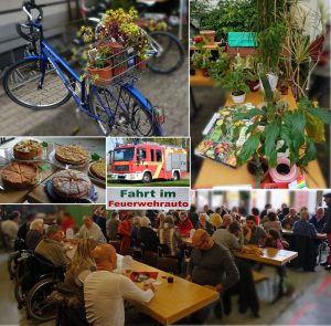 collage-pflanzent-800